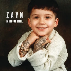 Zayn - Mind Of Mine 2lp Plak