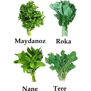 Çermik Fidancılık Yeşillik Tohum Paketi Tere ,  Maydanoz, Nane, , Roka 40 gr