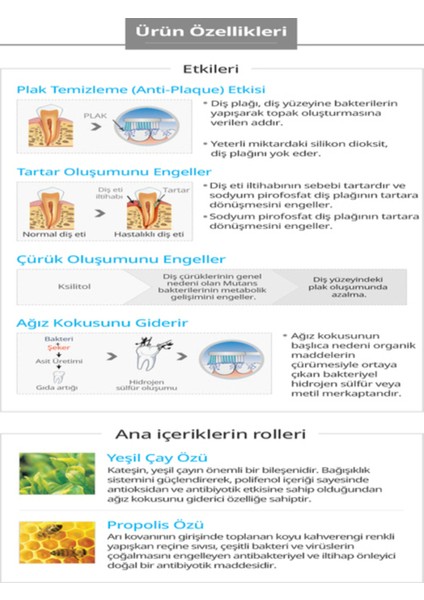 Kore Propolis Ve Yeşil Çay Özlü Diş Macunu 200 gram