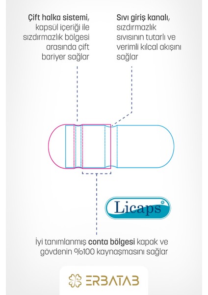 Omega 3 Balık Yağı 33/22 60 Kapsül Licaps®