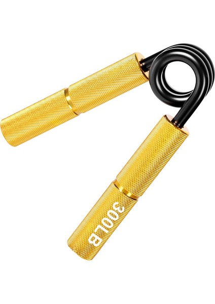 El Kavrama Gitar Kadın Erkek Ekipman Egzersizcisi Aureate 300LB (Yurt Dışından) fırsatları