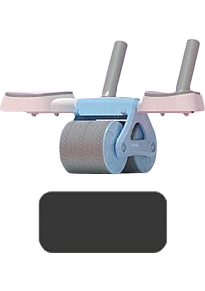 Karın Silindir Mavisi (Yurt Dışından) fiyatları