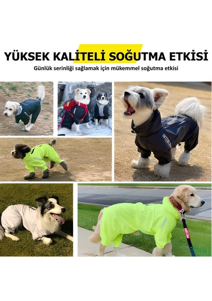 Fonksiyonel Fermuarlı Tulum Rüzgarlık Yağmurluk Köpek Kıyafeti m Yeşil indirimleri