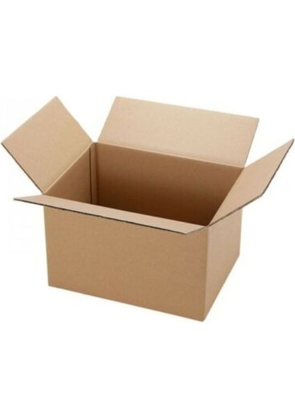 Cocomerry 40X30X30 Çift Oluklu Taşıma Kolisi