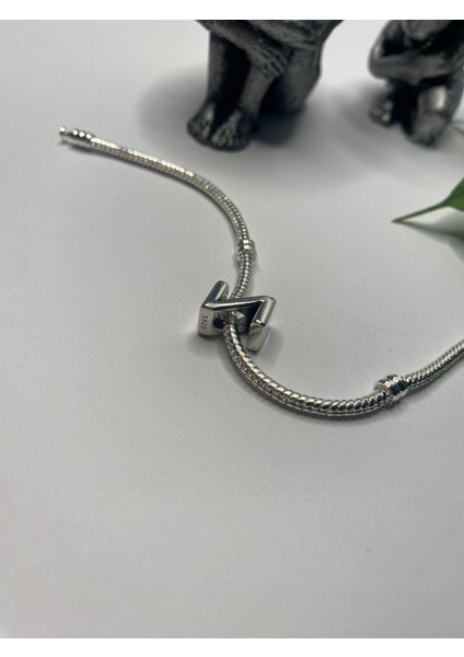 Gümüş S925 Damgalı Z Harfi Zirkon Taşlı Charm fiyatları