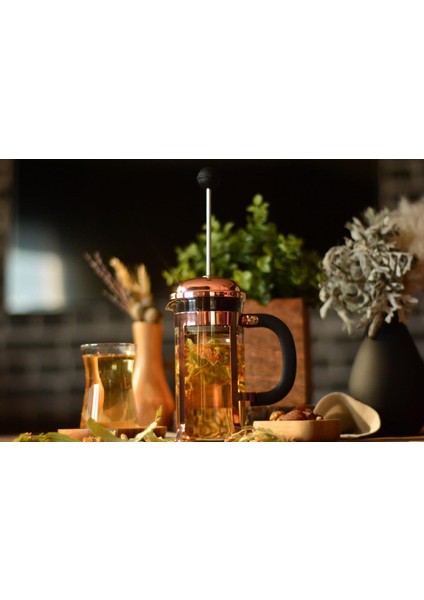 Holmes French Press 350 Ml 9130 fiyatları
