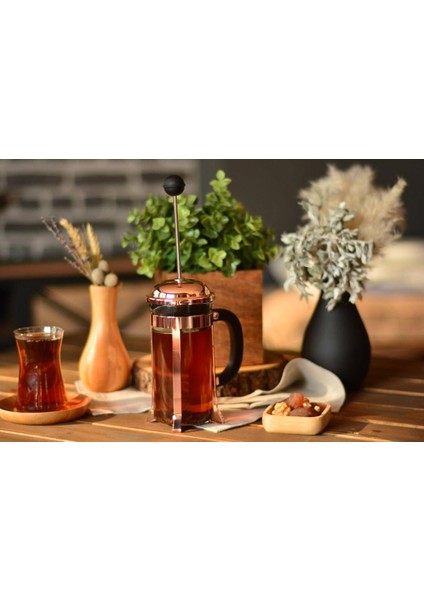 Holmes French Press 350 Ml 9130 modelleri