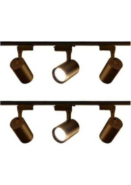 30 Watt Siyah Kasa Günışığı 6 Adet Ray Spot - Iki Adet 1 Metre Ray - Kendinden Led'li Ray Spot