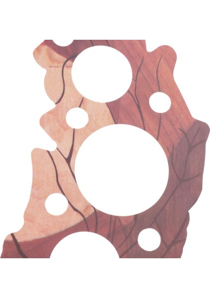 Gitar Uygulayıcıları Için 2 Adet Gitar Çizik Koruyucusu Gitar Pickguard (Yurt Dışından) modelleri
