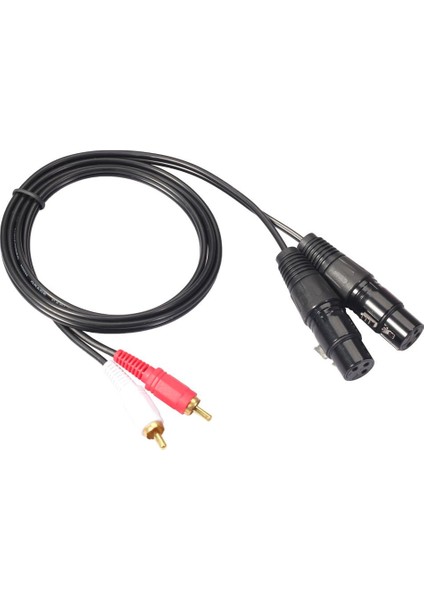 Çift 5ft. Profesyonel Ses Bağlantı Kablosu 2 Xlr Dişi-2 Rca Erkek Mikrofon Kablosu 2020R-15 (Yurt Dışından)