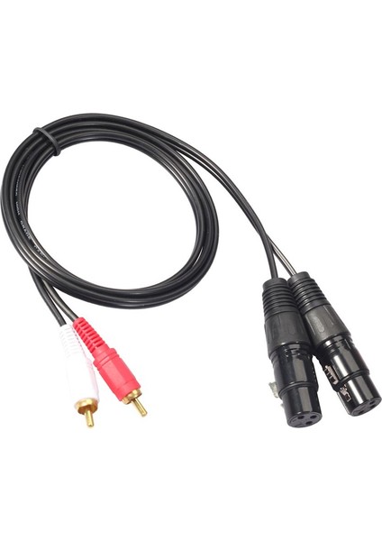 Çift 5ft. Profesyonel Ses Bağlantı Kablosu 2 Xlr Dişi-2 Rca Erkek Mikrofon Kablosu 2020R-15 (Yurt Dışından)