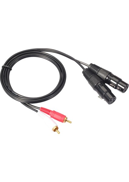 Çift 5ft. Profesyonel Ses Bağlantı Kablosu 2 Xlr Dişi-2 Rca Erkek Mikrofon Kablosu 2020R-15 (Yurt Dışından)
