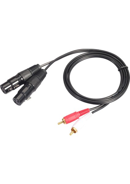 Çift 5ft. Profesyonel Ses Bağlantı Kablosu 2 Xlr Dişi-2 Rca Erkek Mikrofon Kablosu 2020R-15 (Yurt Dışından)
