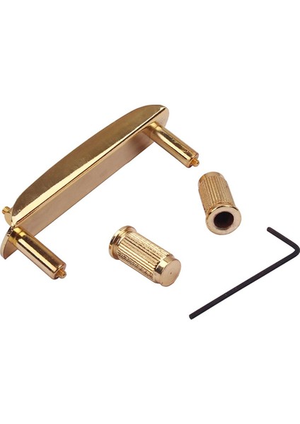 Jaguar Gold Super Için Gitar Köprü Meclisi Değiştirme Süper (Yurt Dışından) modelleri