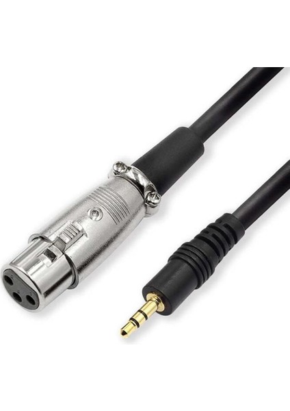8.2inch Xlr Dişi - 3.5mm 1/8 "erkek Fiş Mikrofon Ses Kordosu Kablosu (Yurt Dışından)