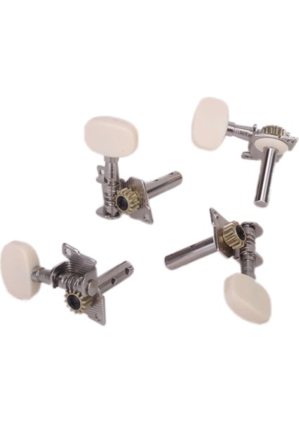 4 Adet Elektro Gitar Bas Tuning Pegs Makine Kafaları 2r 2l - Gümüş (Yurt Dışından) modelleri
