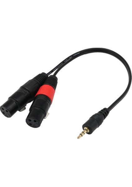 2x 1ft 1/8 "3,5mm Erkek Stereo Trs Sesli Fişi Çift 2 Dişi 3pin Xlr Kablosu (Yurt Dışından)