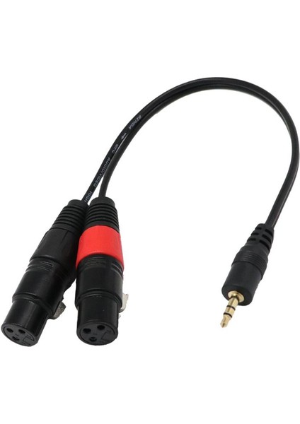 2x 1ft 1/8 "3,5mm Erkek Stereo Trs Sesli Fişi Çift 2 Dişi 3pin Xlr Kablosu (Yurt Dışından)