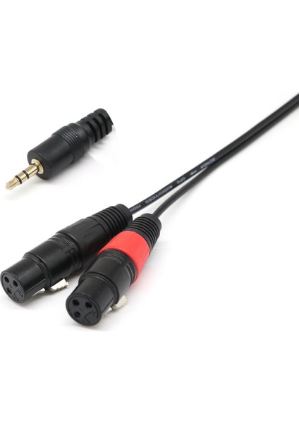 2x 1ft 1/8 "3,5mm Erkek Stereo Trs Sesli Fişi Çift 2 Dişi 3pin Xlr Kablosu (Yurt Dışından)