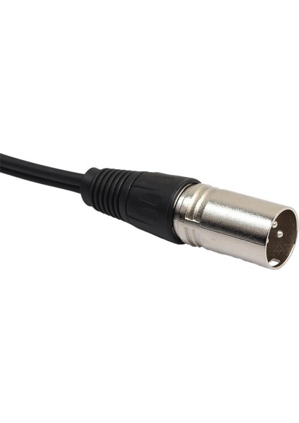 Xlr Yama Kablosu Erkek To 2 Dişi Ses Mikrofonu Y Ayırıcı Adaptörü 1 Feet (Yurt Dışından)