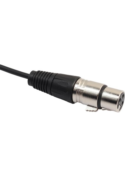 Xlr Yama Kablosu Erkek To 2 Dişi Ses Mikrofonu Y Ayırıcı Adaptörü 1 Feet (Yurt Dışından)