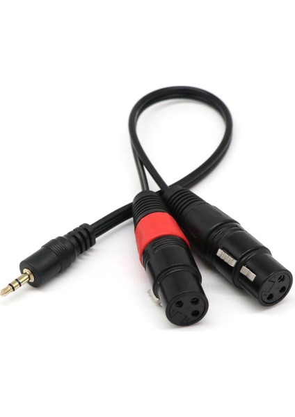 1ft 1/8 "3,5mm Erkek Stereo Trs Audio Fişi Çift 2 Dişi 3pin Xlr Kablosu (Yurt Dışından)