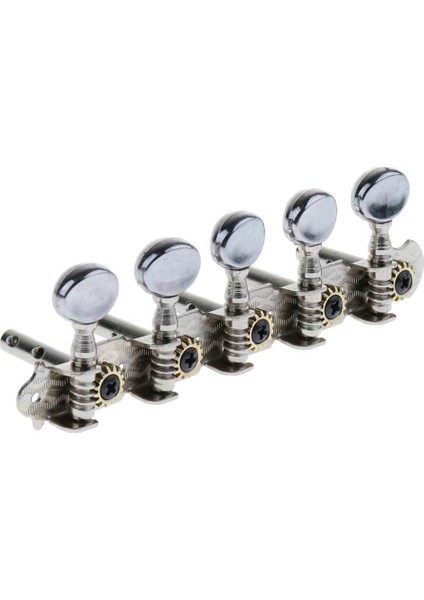 Mandolin Gitar Için 2x Gitar Dize Tuning Pegs 10 Dize Elektro Gitar (Yurt Dışından)