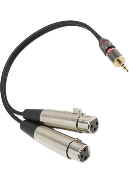 2x 3.5mm Stereo Mono Erkek Xlr-Çift Kadın Mikrofon Ses Kablosu, 1 Metrelik (Yurt Dışından)