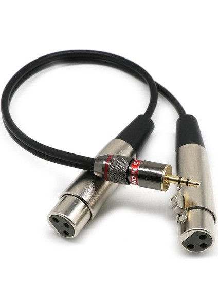 2x 3.5mm Stereo Mono Erkek Xlr-Çift Kadın Mikrofon Ses Kablosu, 1 Metrelik (Yurt Dışından)