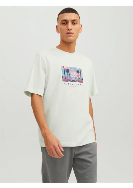 Jack & Jones Jortulum Landscape Tee Ss Crew Neck Erkek T-Shirt