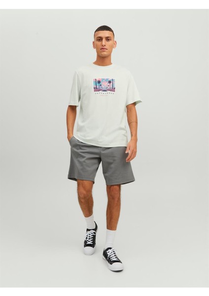 Jack & Jones Jortulum Landscape Tee Ss Crew Neck Erkek T-Shirt