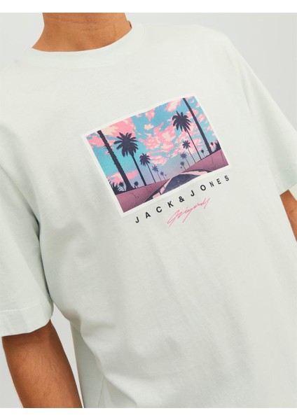 Jack & Jones Jortulum Landscape Tee Ss Crew Neck Erkek T-Shirt