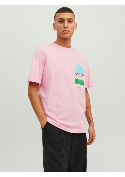 Jack & Jones Jortulum Landscape Tee Ss Crew Neck Pembe Erkek T-shirt 12235226-Prism