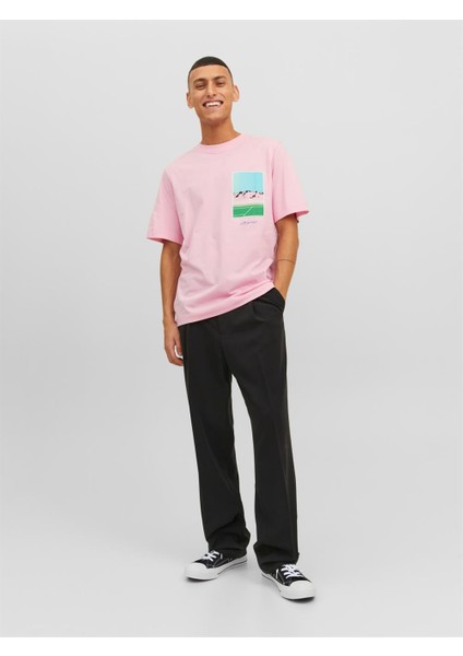 Jack & Jones Jortulum Landscape Tee Ss Crew Neck Pembe Erkek T-shirt 12235226-Prism