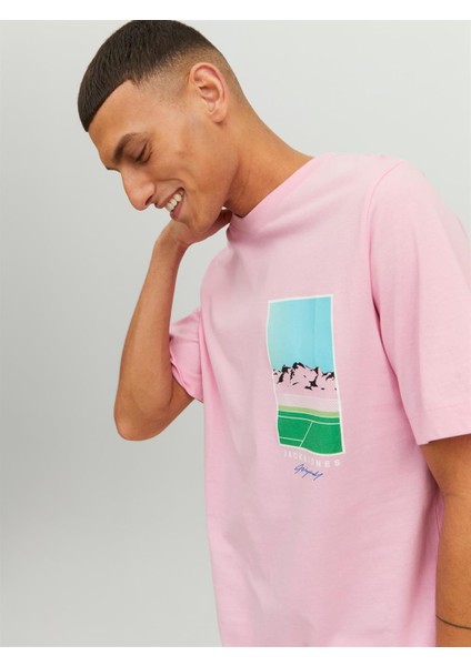 Jack & Jones Jortulum Landscape Tee Ss Crew Neck Pembe Erkek T-shirt 12235226-Prism