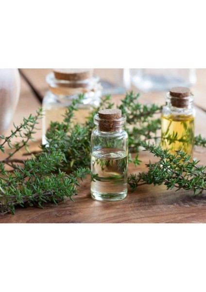 Geleneksel Doğal Kekik Yağı 50 ml Thyme Oil