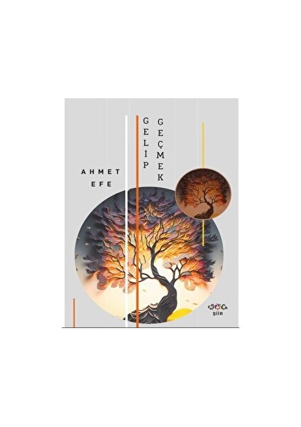 Gelip Geçmek - Ahmet Efe