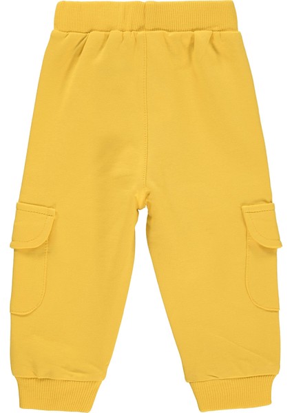 Erkek Bebek Patiksiz Tek Alt 6-18 Ay Bal Sarısı fiyatları