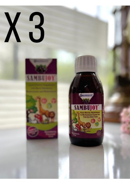 Sambujoy Multivitamin ve Multimineral İçeren Çilek Aromalı Sıvı Takviye Edici Gıda 3'lü