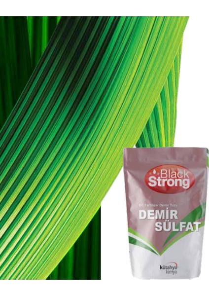 Demir Sülfat - 25KG fiyatları