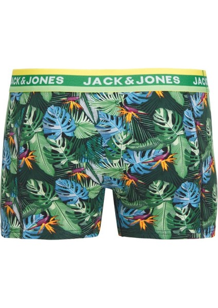 Kyle Erkek Boxer 12248849
