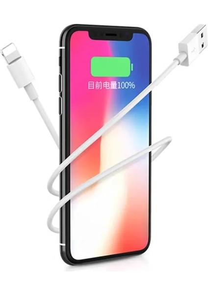 Apple iPhone Şarj Aleti (6 7 8 x 11 12 13 14 Plus ile Uyumlu)