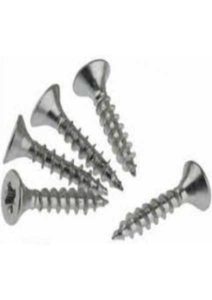 Sunta Vidası 4,0X60 Çinko 1 Koli 16 Paket fiyatları