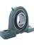 UCP205 Rulman 25 Mm. 1