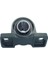 UCP205 Rulman 25 Mm. 2