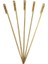 Bambu Çöp Şiş 25 Cm 250'Lı- Afiyet Olsun 1