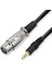 8.2inch Xlr Dişi - 3.5mm 1/8 "erkek Fiş Mikrofon Ses Kordosu Kablosu (Yurt Dışından) 3