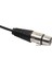 Xlr Yama Kablosu Erkek To 2 Dişi Ses Mikrofonu Y Ayırıcı Adaptörü 1 Feet (Yurt Dışından) 5