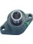 UCFL204 Rulman 20 Mm. 2