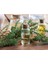 Geleneksel Doğal Kekik Yağı 50 ml Thyme Oil 2